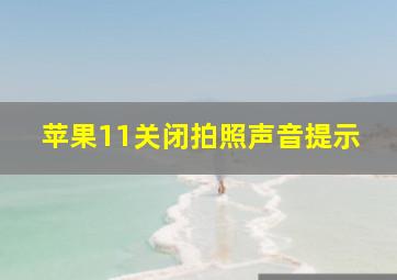 苹果11关闭拍照声音提示