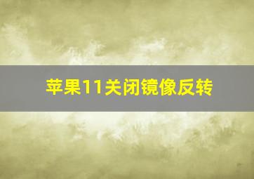 苹果11关闭镜像反转