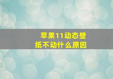 苹果11动态壁纸不动什么原因