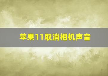 苹果11取消相机声音