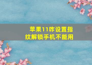 苹果11咋设置指纹解锁手机不能用