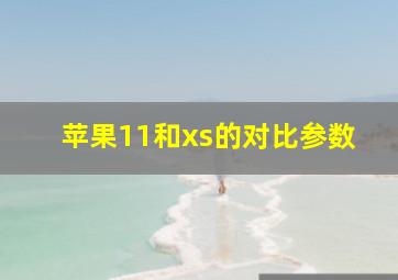 苹果11和xs的对比参数