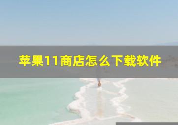 苹果11商店怎么下载软件