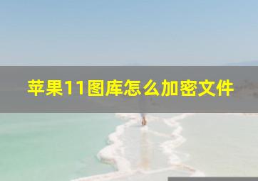 苹果11图库怎么加密文件