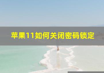 苹果11如何关闭密码锁定