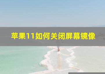 苹果11如何关闭屏幕镜像