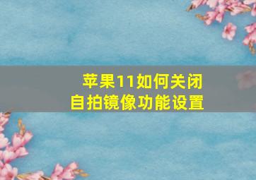 苹果11如何关闭自拍镜像功能设置