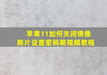 苹果11如何关闭镜像照片设置密码呢视频教程