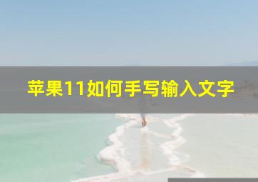 苹果11如何手写输入文字