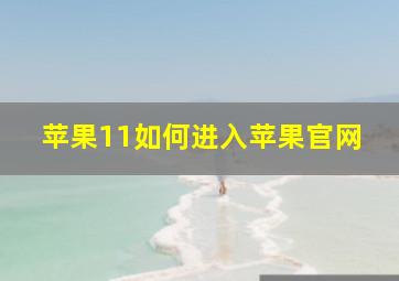 苹果11如何进入苹果官网