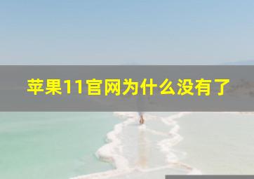 苹果11官网为什么没有了