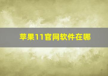 苹果11官网软件在哪