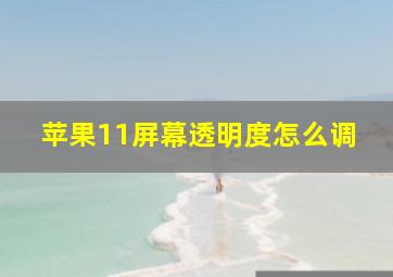 苹果11屏幕透明度怎么调