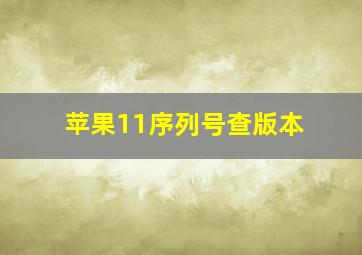 苹果11序列号查版本