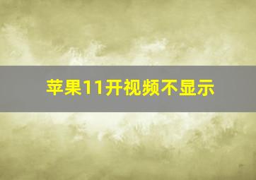 苹果11开视频不显示