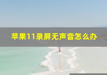 苹果11录屏无声音怎么办