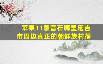 苹果11录音在哪里延吉市周边真正的朝鲜族村落