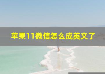 苹果11微信怎么成英文了