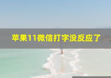 苹果11微信打字没反应了