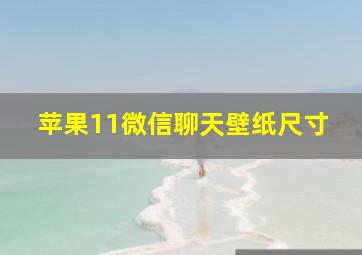 苹果11微信聊天壁纸尺寸