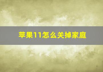 苹果11怎么关掉家庭