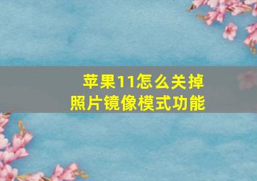 苹果11怎么关掉照片镜像模式功能