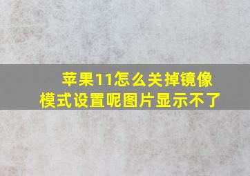 苹果11怎么关掉镜像模式设置呢图片显示不了