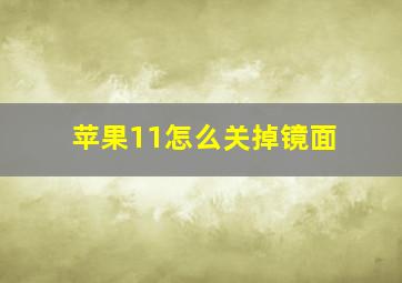 苹果11怎么关掉镜面