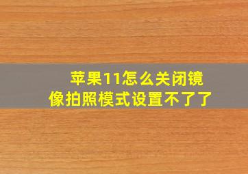 苹果11怎么关闭镜像拍照模式设置不了了