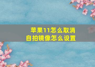 苹果11怎么取消自拍镜像怎么设置