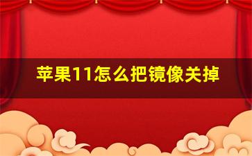 苹果11怎么把镜像关掉