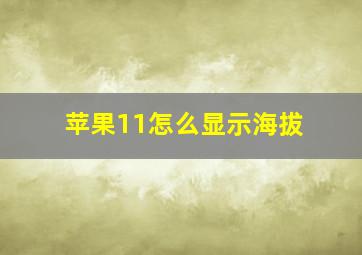 苹果11怎么显示海拔