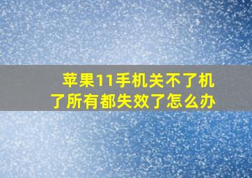 苹果11手机关不了机了所有都失效了怎么办