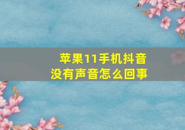 苹果11手机抖音没有声音怎么回事