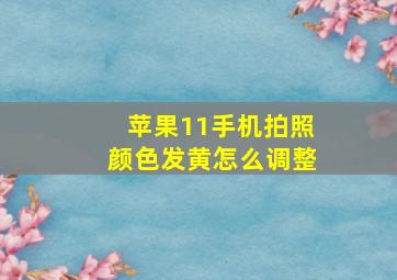 苹果11手机拍照颜色发黄怎么调整