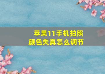 苹果11手机拍照颜色失真怎么调节