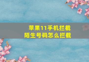 苹果11手机拦截陌生号码怎么拦截