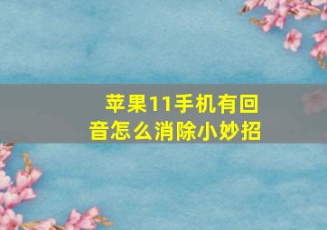 苹果11手机有回音怎么消除小妙招