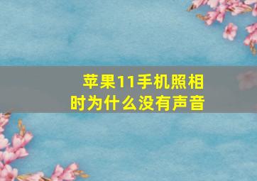 苹果11手机照相时为什么没有声音