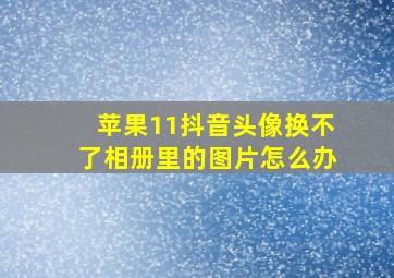 苹果11抖音头像换不了相册里的图片怎么办