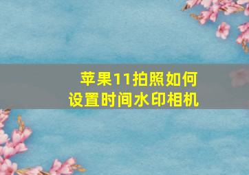 苹果11拍照如何设置时间水印相机