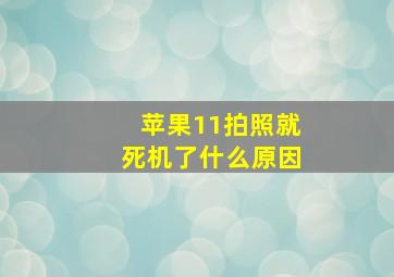 苹果11拍照就死机了什么原因