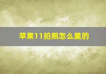 苹果11拍照怎么黑的