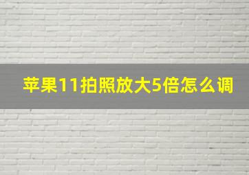 苹果11拍照放大5倍怎么调