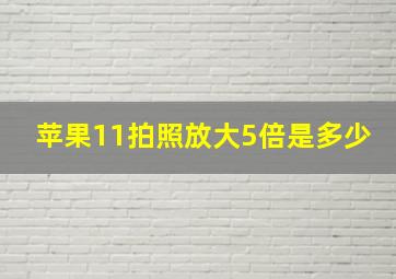 苹果11拍照放大5倍是多少