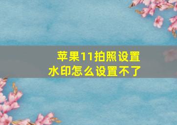 苹果11拍照设置水印怎么设置不了