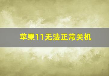 苹果11无法正常关机