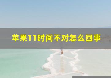 苹果11时间不对怎么回事