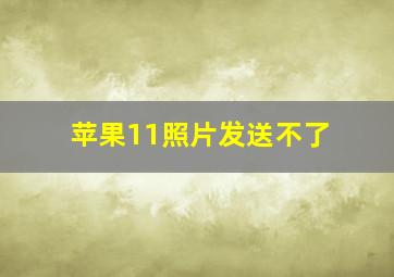 苹果11照片发送不了