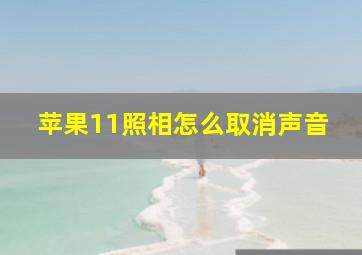 苹果11照相怎么取消声音